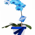 AHSKAHKS-350×438-1.png