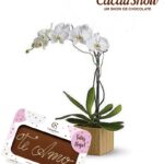 08- ORQUIDEA PHALAENOPSIS + CACAU SHOW CHOCOLATE TE AMO 40G