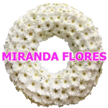 41 - COROA EUROPÉIA TODA DE GERBERAS